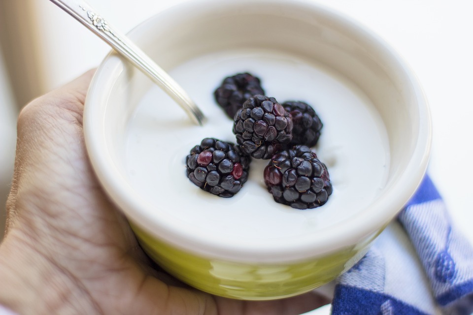 A Buying Guide For Yogurt Maker